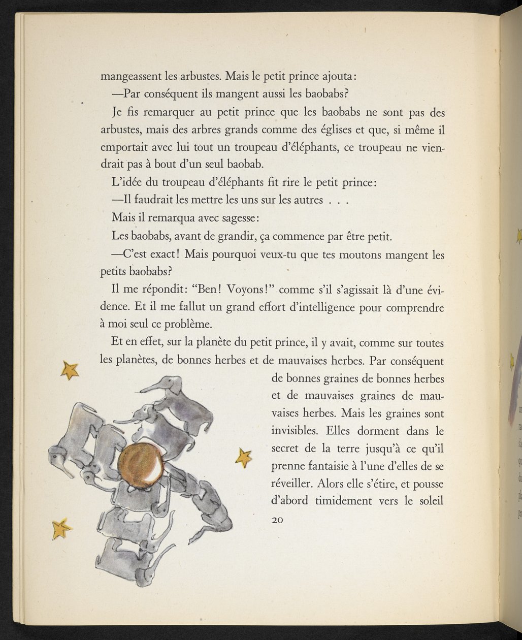 Elefanten, Illustration aus 