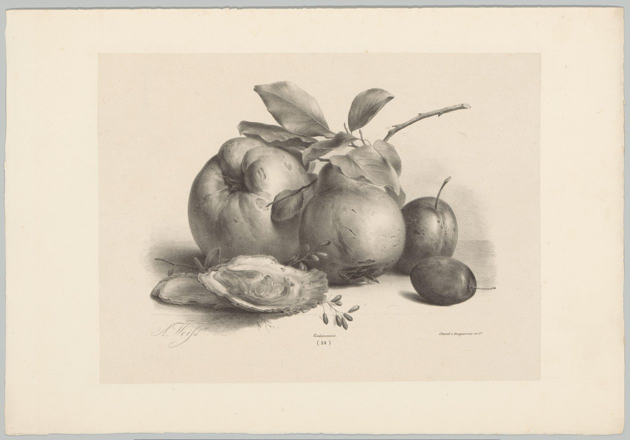 Früchte, Pflaumen und Austern von Anton Weiss