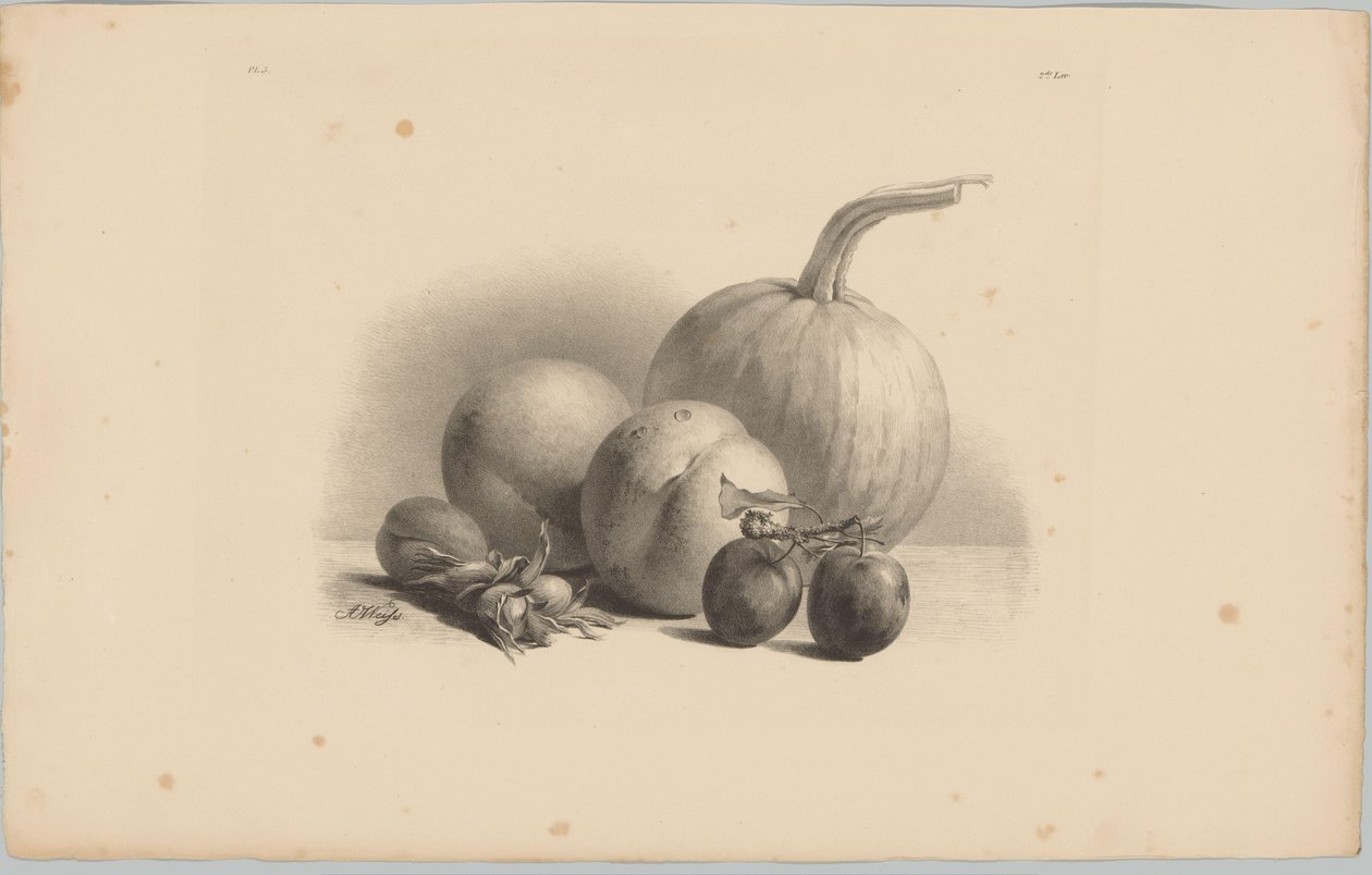 Kürbis, Pfirsiche, Aprikose, Pflaumen und Haselnüsse von Anton Weiss