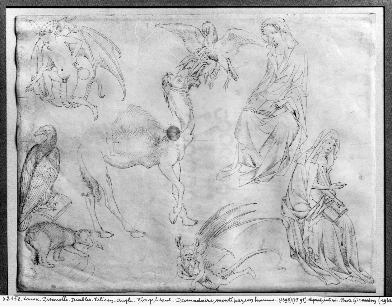 Blatt mit Studien, aus dem Vallardi-Album von Antonio Pisanello