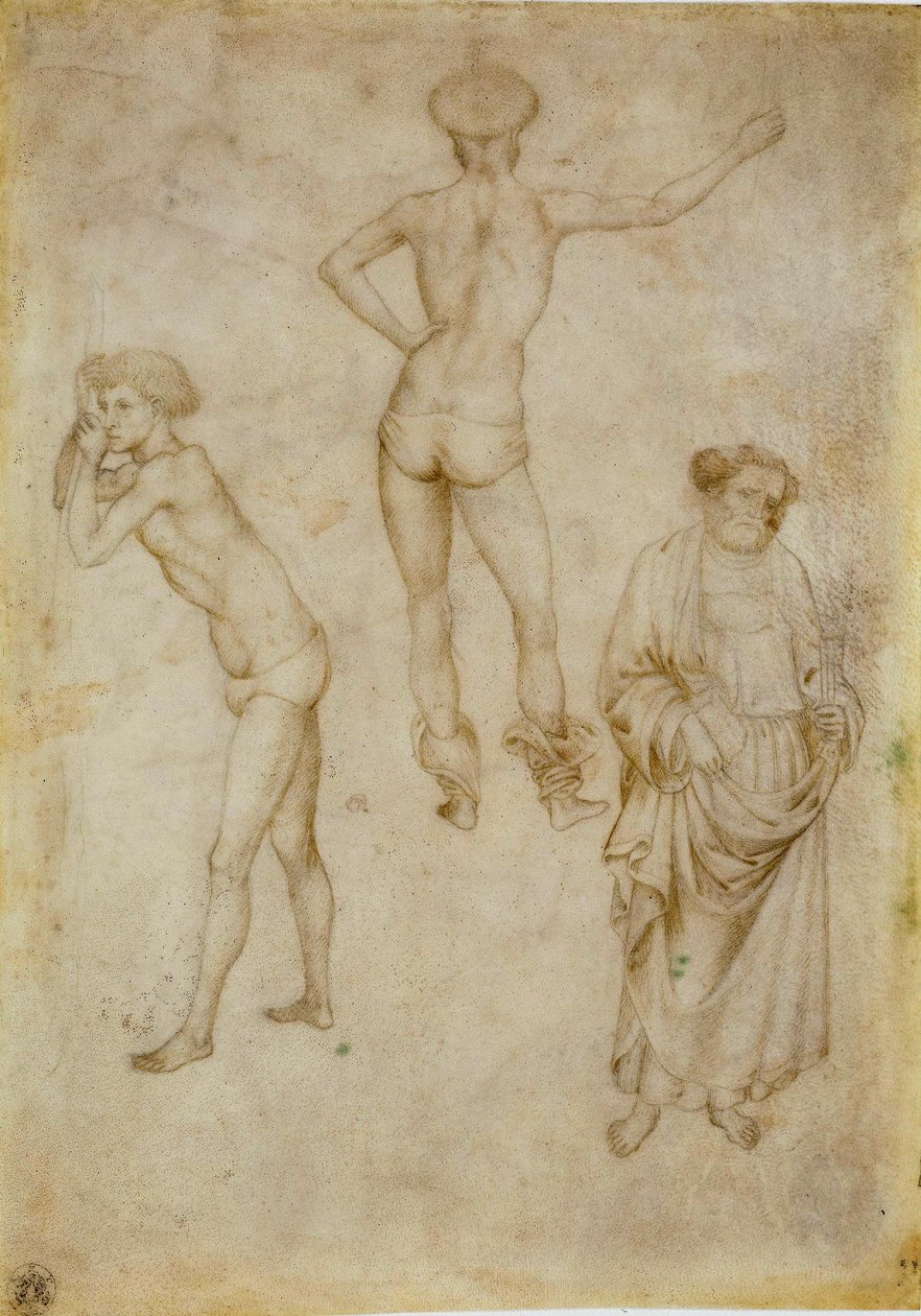 Zwei männliche Figurenstudien und Heiliger Petrus von Antonio Pisanello