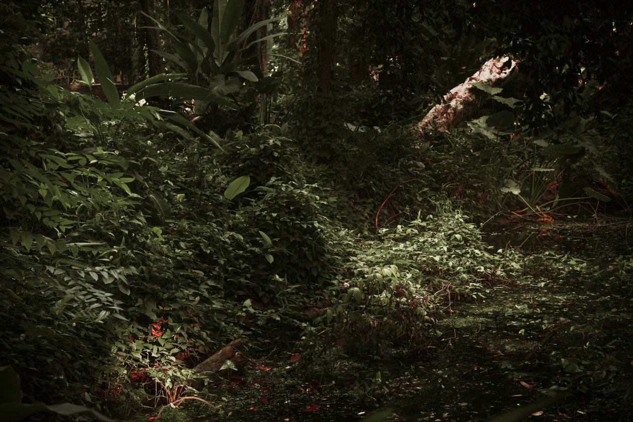 Licht und Schatten von Antonio Schubert