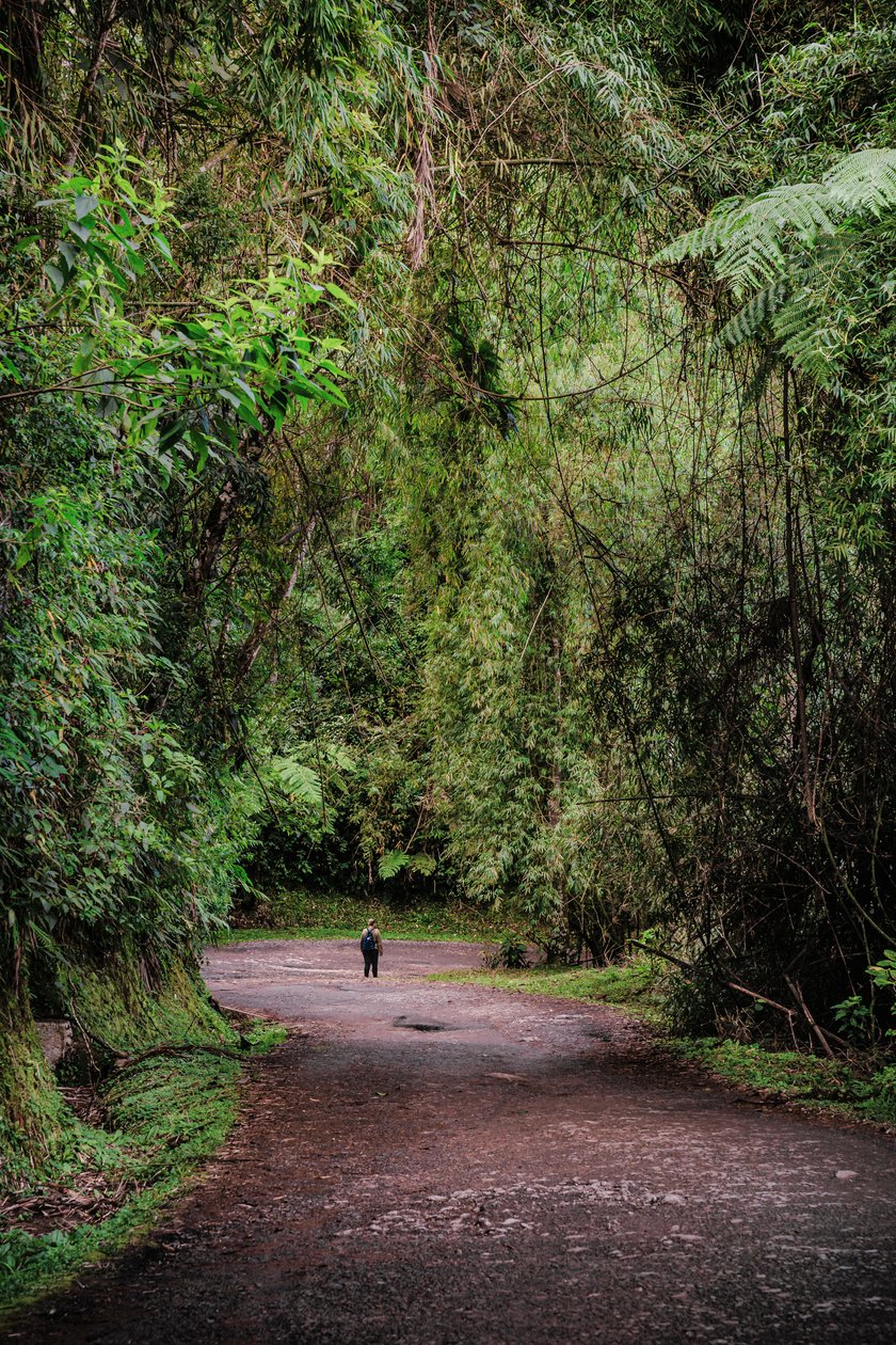 Mantiqueira XLIII, 2015 von Antonio Schubert