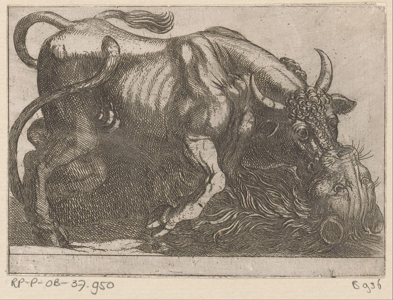 Ein Stier kämpft mit einem Löwen (Vechtende dieren) von Antonio Tempesta