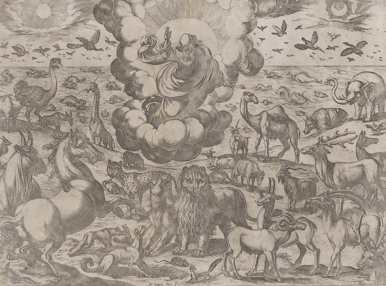 Gott erschafft die Tiere von Antonio Tempesta