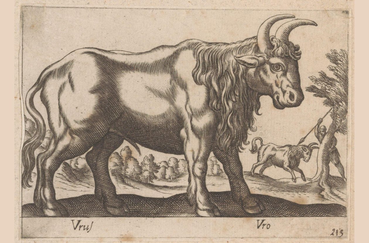 Stier
Tiere und Fabelwesen
Nova raccolta de li animali piu curiosi del mondo von Antonio Tempesta