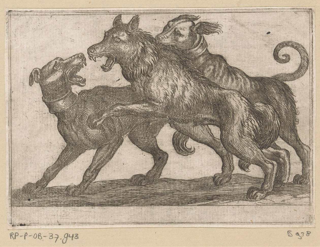 Zwei Hunde im Kampf mit einem Wolf (Vechtende dieren) von Antonio Tempesta