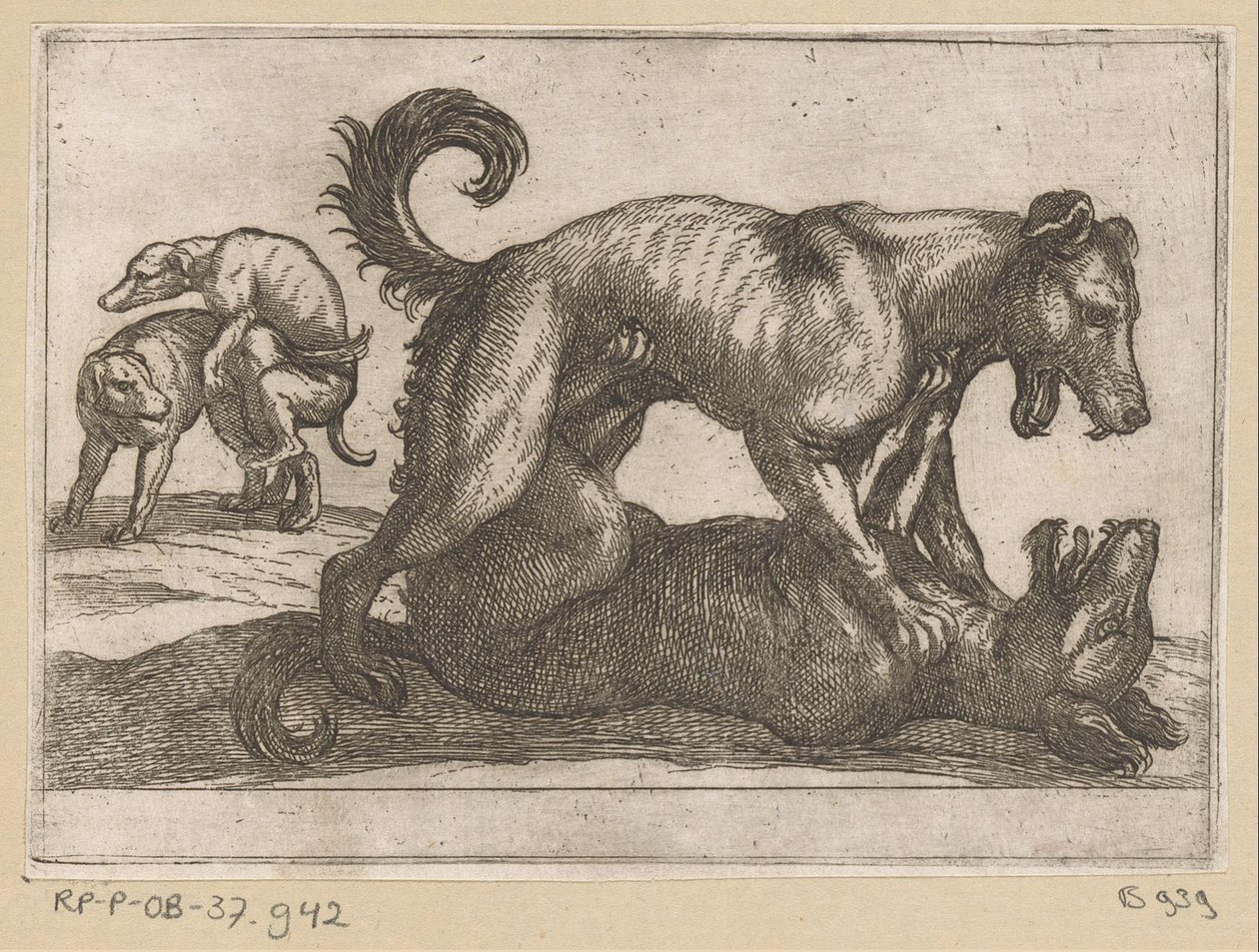 Zwei paarende und zwei kämpfende Hunde von Antonio Tempesta