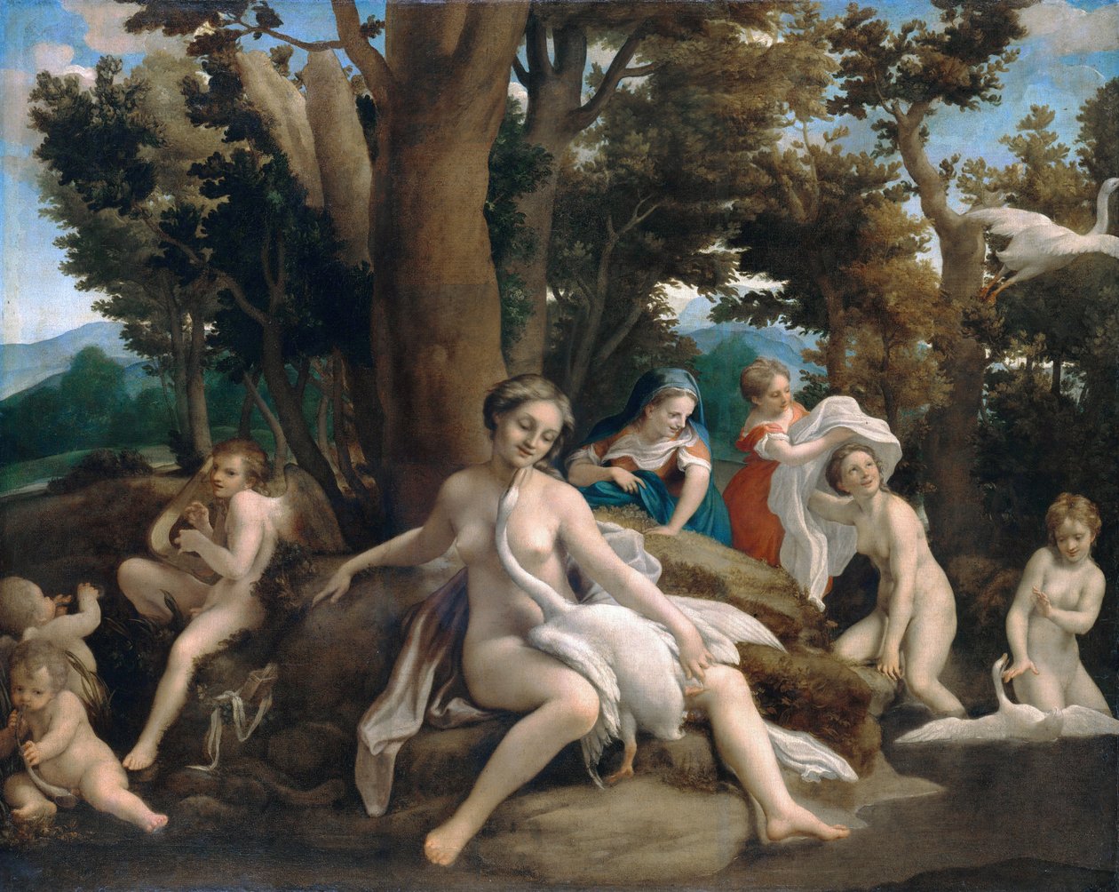 Leda und der Schwan von Antonio da Correggio