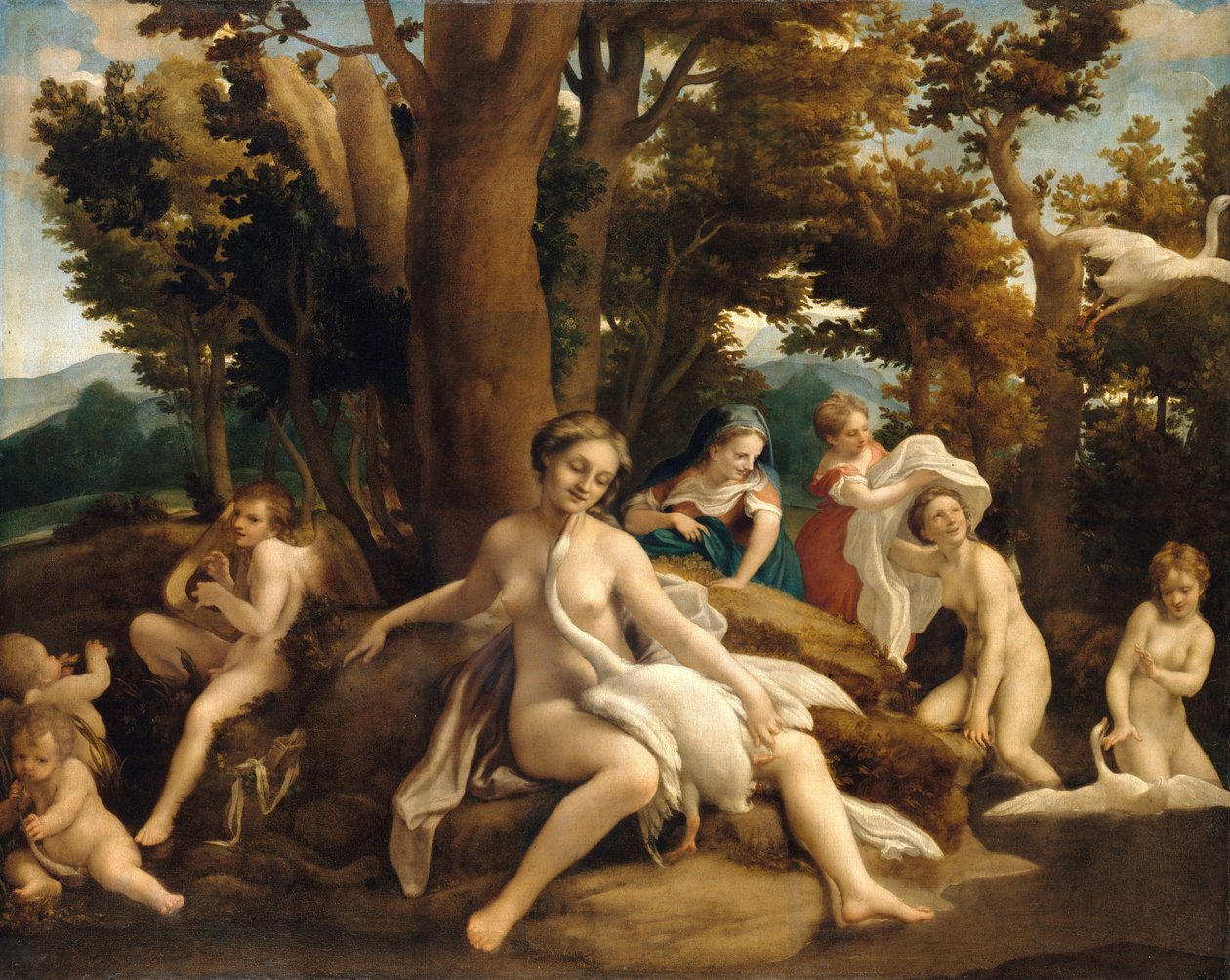 Leda und der Schwan von Antonio da Correggio