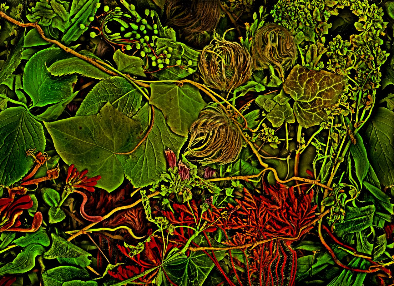 Anderswelt - das Feld, 2025 von Antonius Antonius