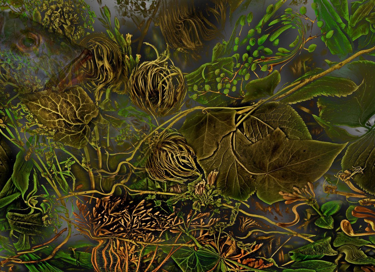 Anderswelt Nr. 7, 2014 von Antonius Antonius