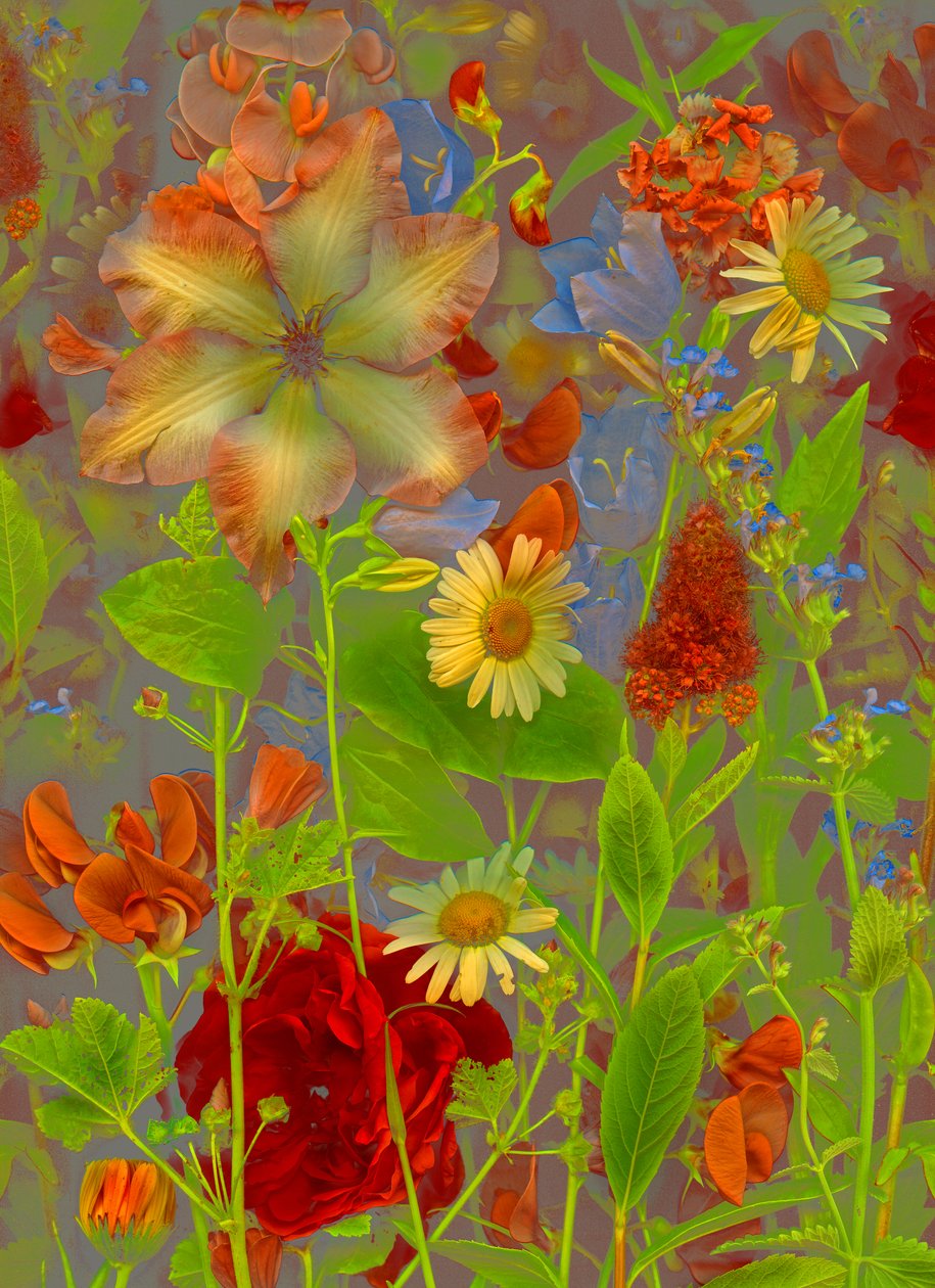 Artfloral Nr. 5 Frühlingsgespräch von Antonius Antonius