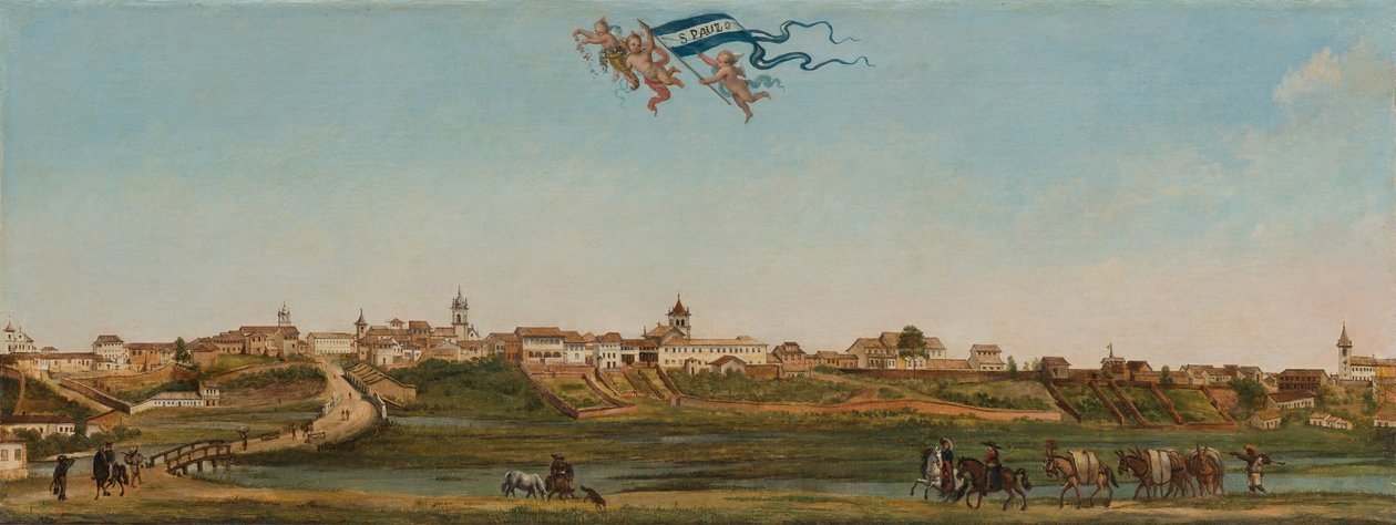 Panoramablick auf São Paulo von Arnaud Julien Pallière