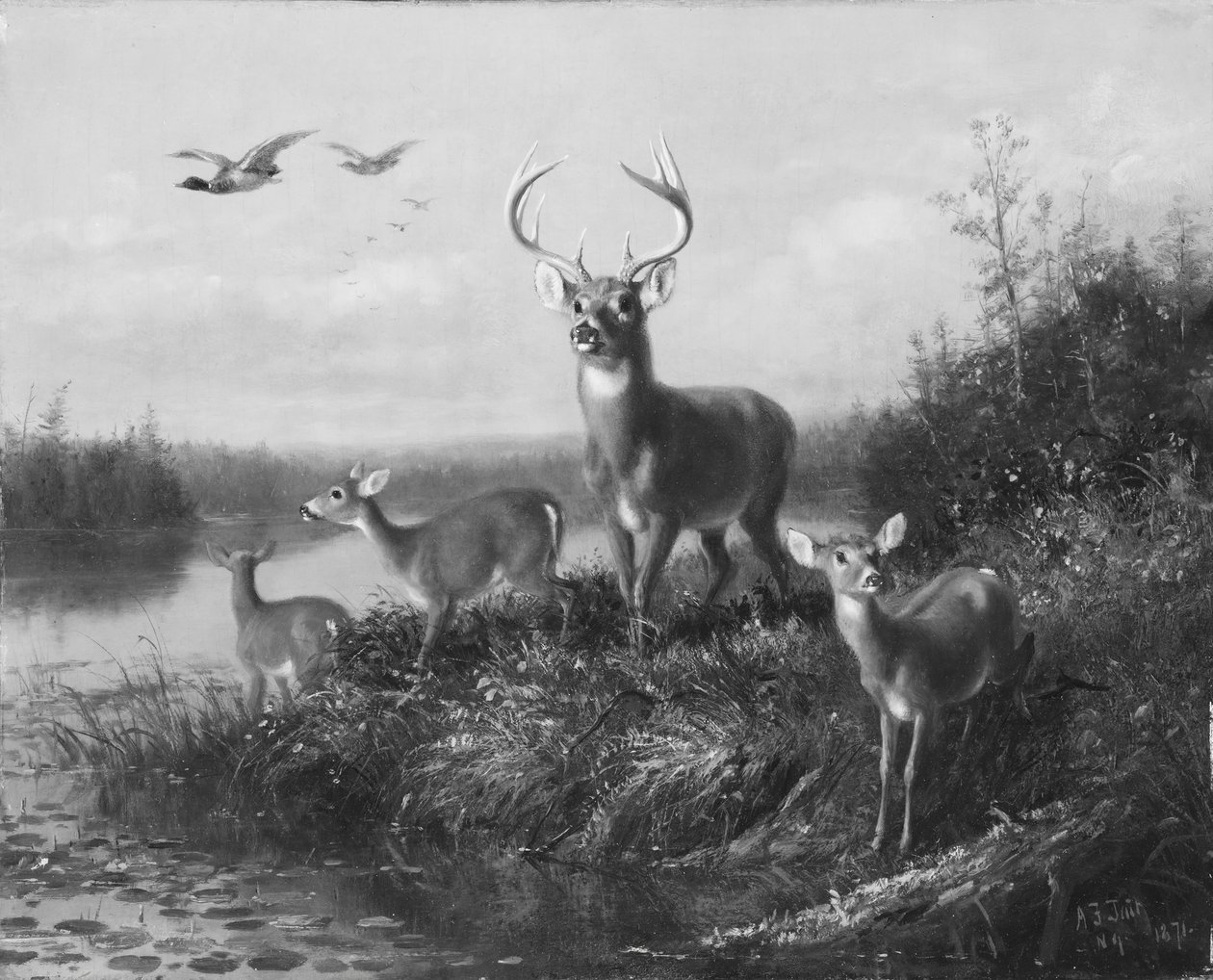 Auf der Hut, Bock und drei Rehe von Arthur Fitzwilliam Tait