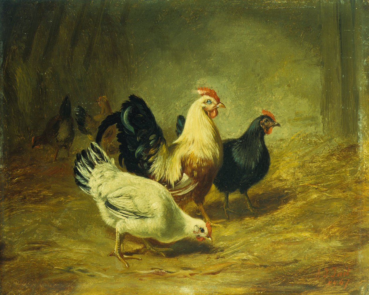 Geflügelfütterung von Arthur Fitzwilliam Tait
