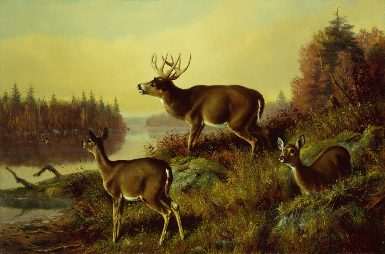 Die Herausforderung von Arthur Fitzwilliam Tait