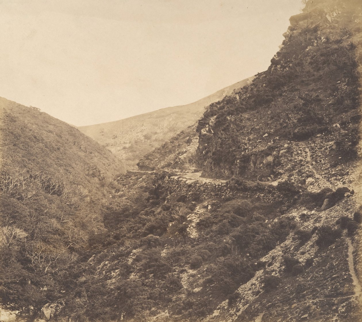 Auf dem Weg nach Watersmeet, in der Nähe von Lynton, Nord-Devon, 1856 von Arthur Julius Pollock