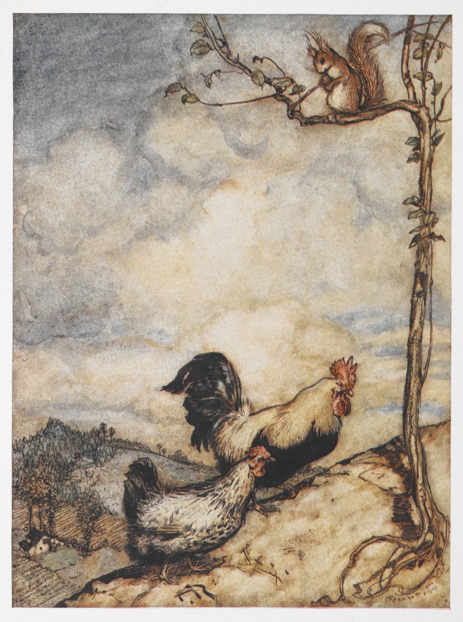 Illustration eines Huhns, Hahns und Eichhörnchens aus 