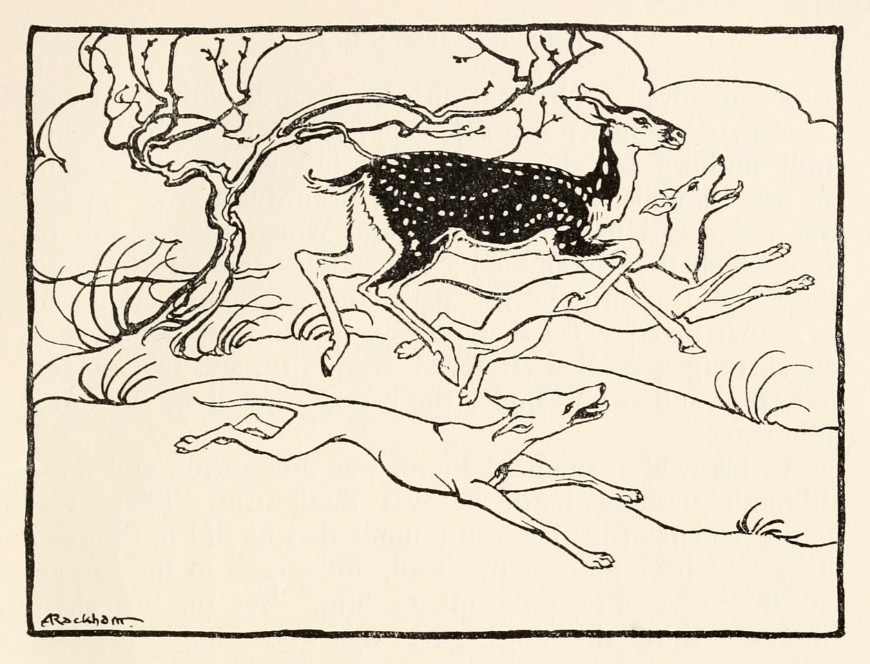 Becfola in ihrem Wagen aus The Wooing of Becfola in Irish Fairy Tales von Arthur Rackham