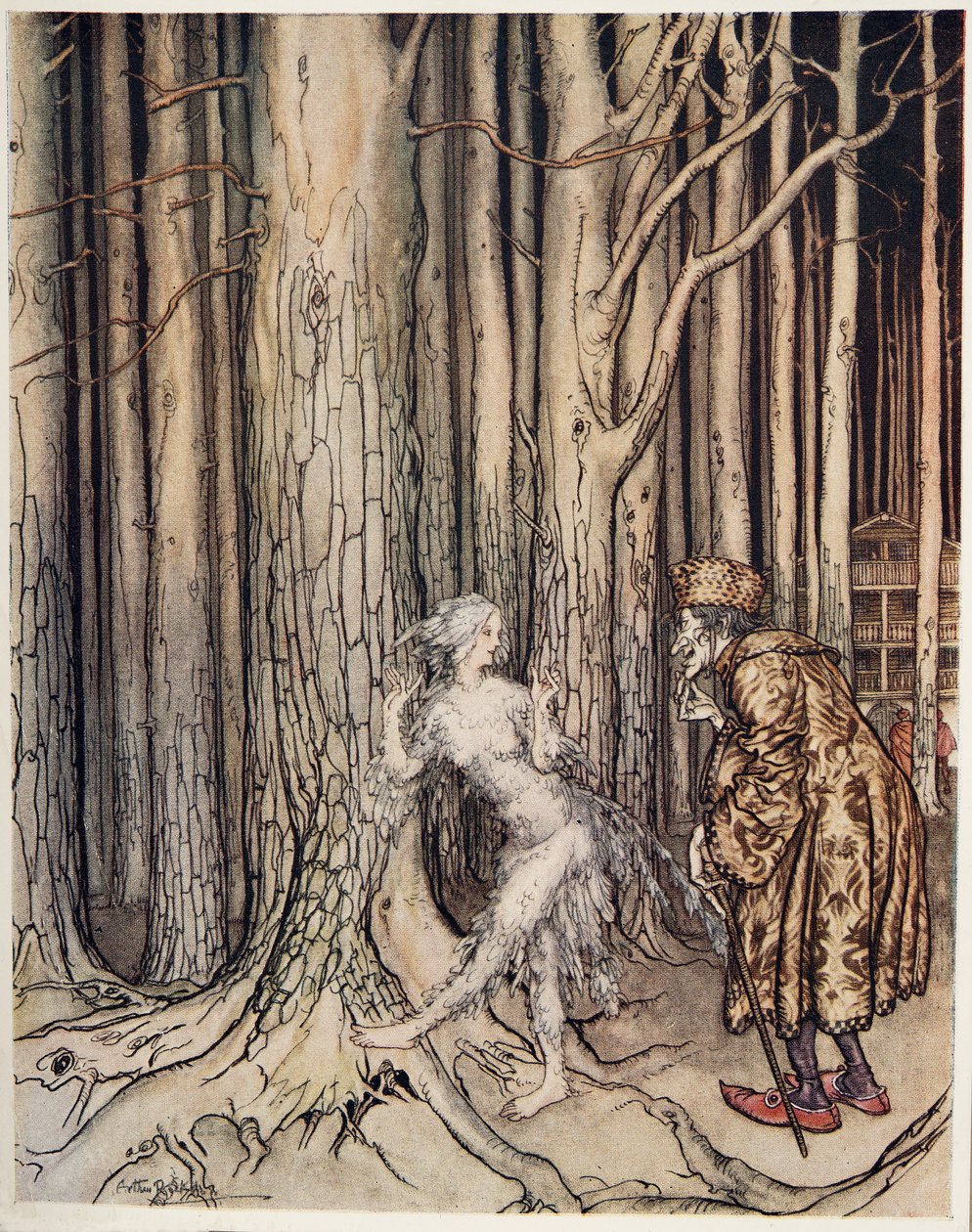 Fitchers Vogel, aus Brüderchen & Schwesterchen und andere Märchen der Brüder Grimm, veröffentlicht 1917 von Arthur Rackham