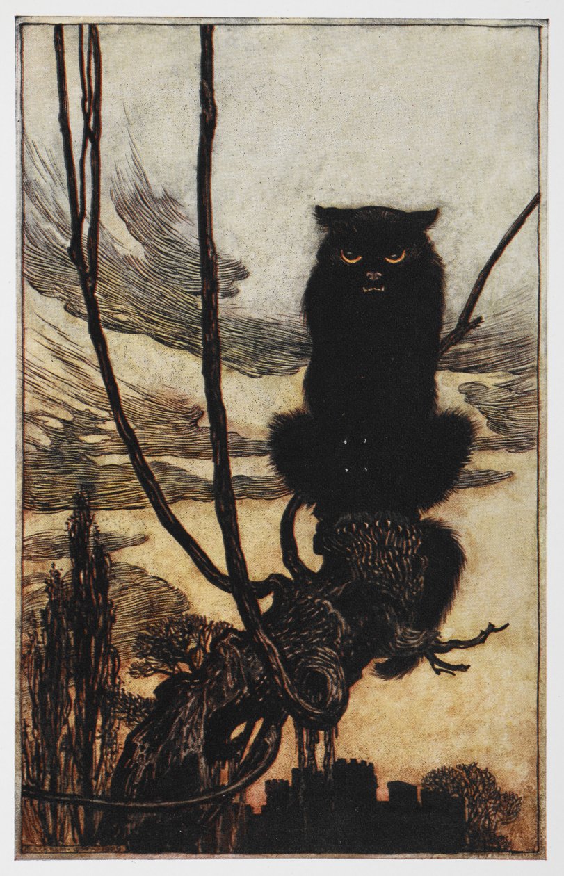 Illustration einer schwarzen Katze aus Jorinde und Joringel von Arthur Rackham