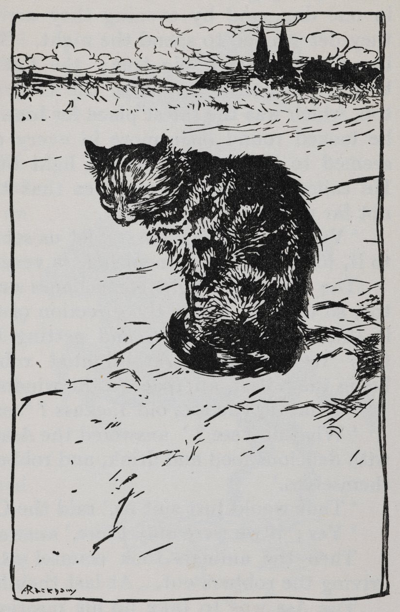 Illustration einer Katze aus Die Bremer Stadtmusikanten von Arthur Rackham