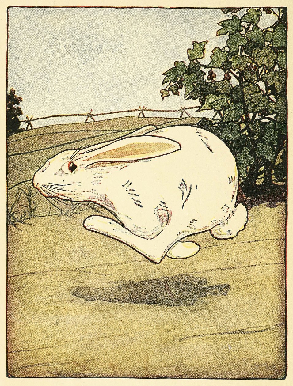 Peter hörte nie auf zu rennen, aus Die Geschichte von Peter Hase, veröffentlicht 1916 (Farblithografie) von Arthur Rackham