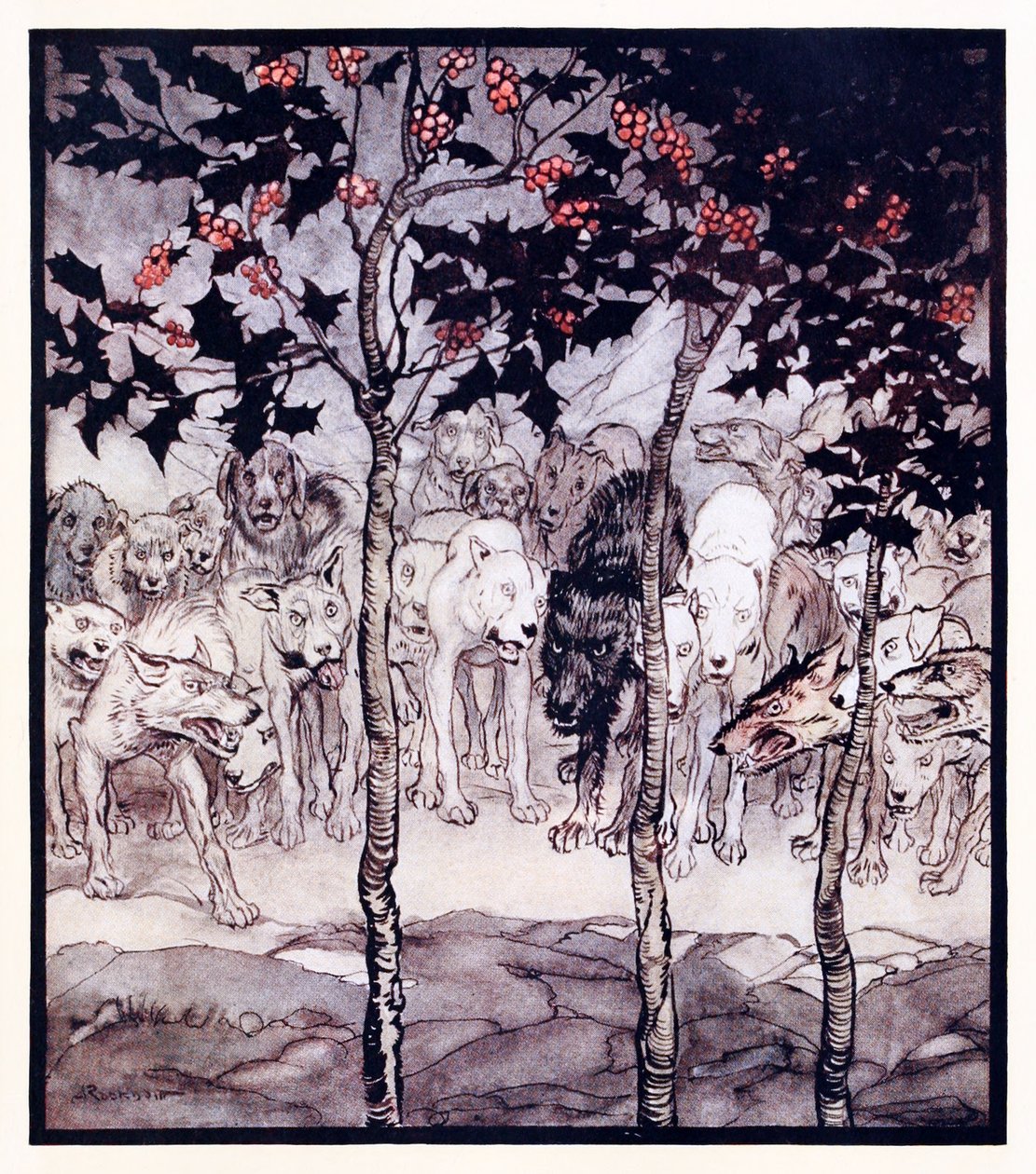 Sie standen draußen, erfüllt von Wildheit und Schrecken. aus The Enchanted Cave of Cesh Corran in Irish Fairy Tales von Arthur Rackham