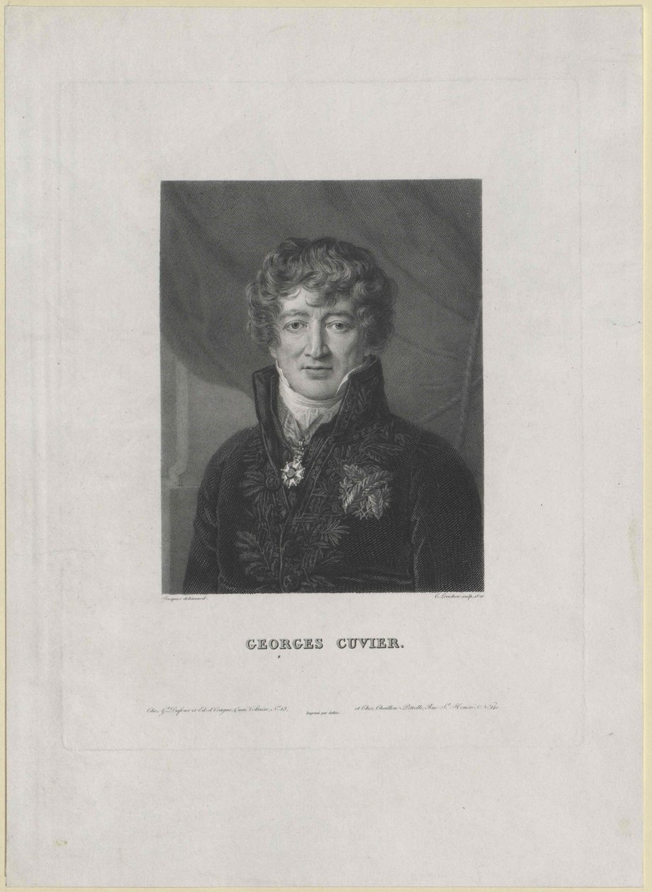 Georg Cuvier (Druck) von Artist Unknown
