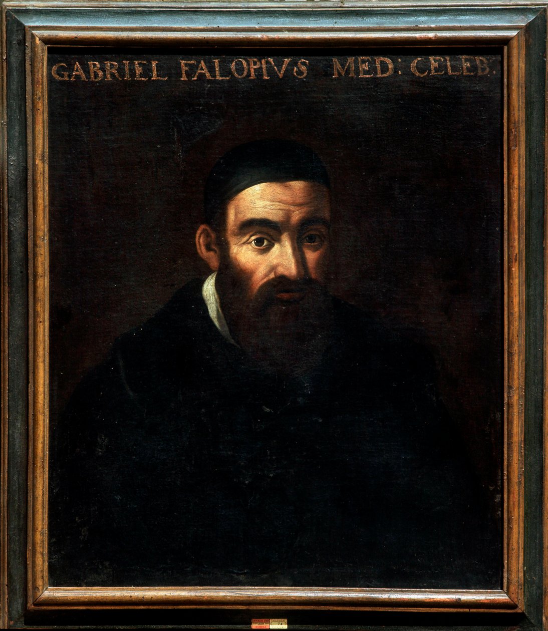 Porträt von Gabriele Falloppia oder Falloppio von Artist Unknown