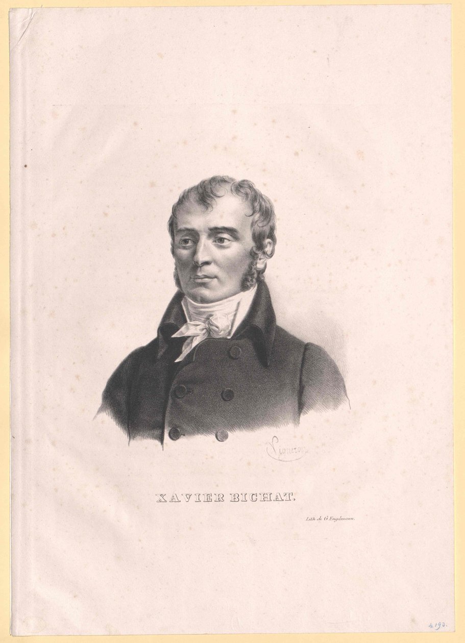 Xavier Bichat von Artist Unknown