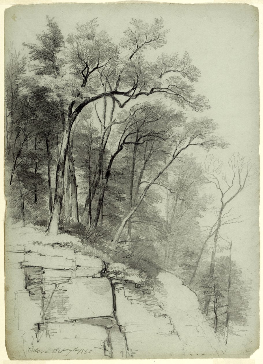 Studie von Bäumen und Felsen, Catskill Clove, New York, 1850 von Asher Brown Durand