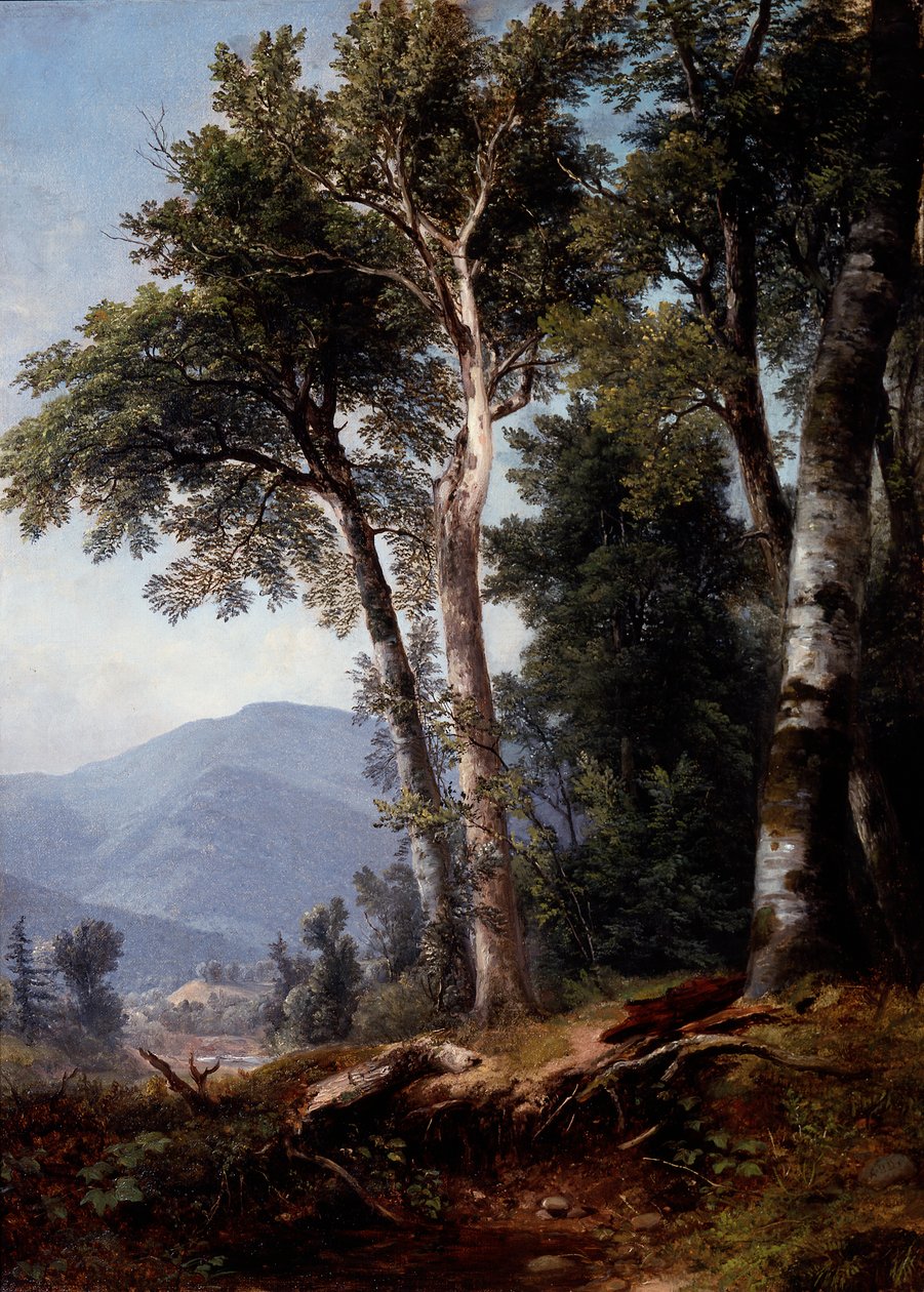 Waldlandschaft von Asher Brown Durand