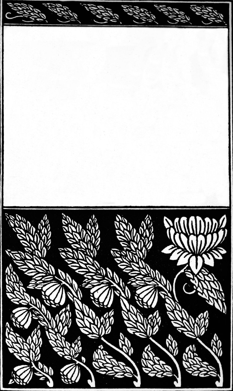 Entwurf für das Cover von Nobody