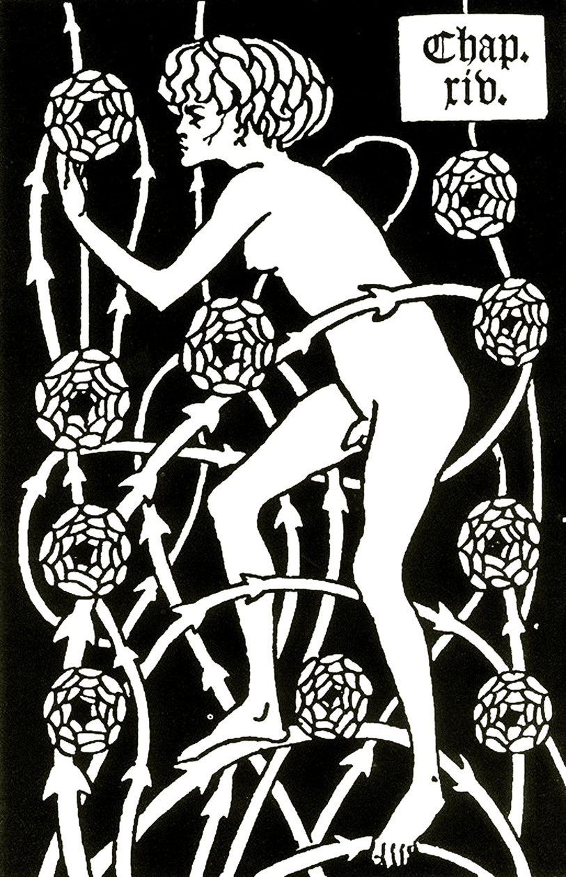 Hermaphrodit unter den Rosen aus 