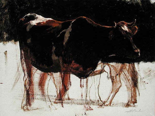 Studie von Rindern von Auguste Francois Bonheur