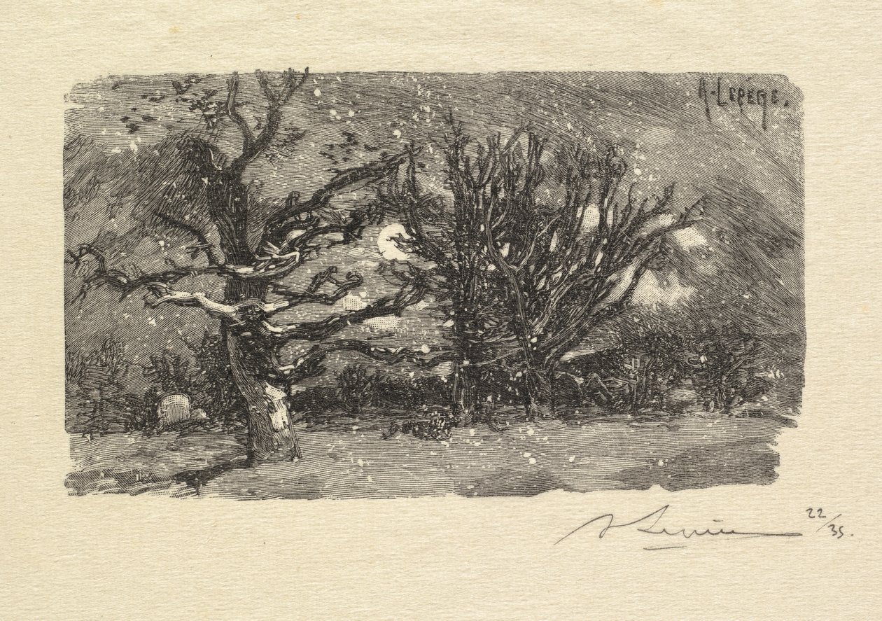 Wald von Fontainebleau: Am Schlafplatz von Lantara, 1890 von Auguste Louis Lepère