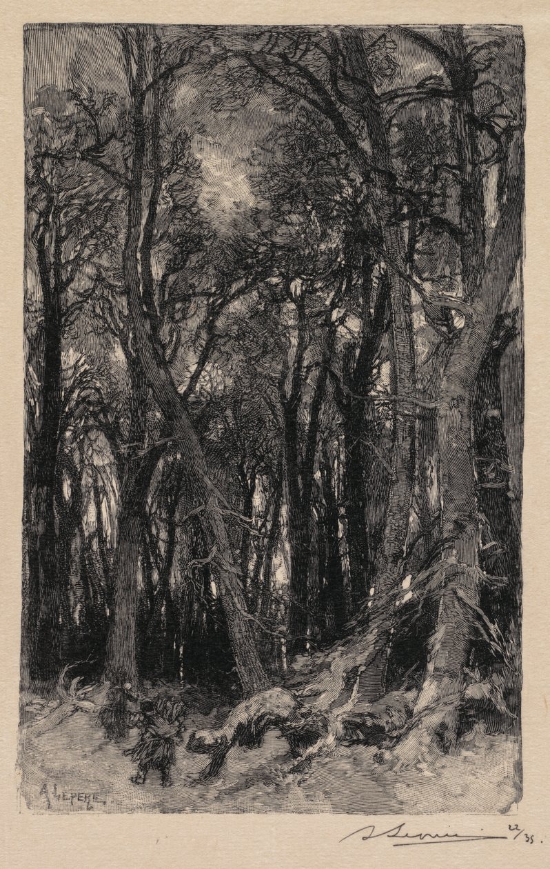 Fontainebleau-Wald: Bas-Bréau (La Forêt de Fontainebleau: Le Bas-Bréau) von Auguste Louis Lepère