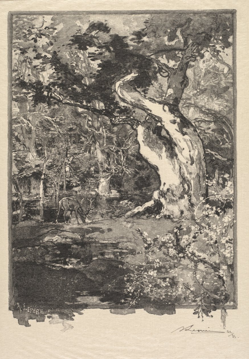 Wald von Fontainebleau: Le Clovis, Plateau de Bellecroix von Auguste Louis Lepère