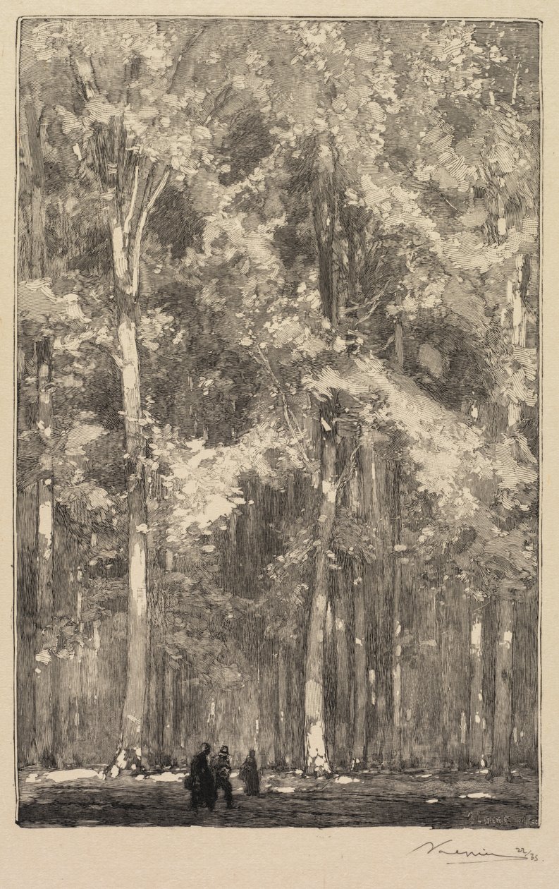 Fontainebleau-Wald: Morgen, Kreuzung der Route der Forts de Marlotte (La Forêt de Fontainebleau: Le Matin, Carrefour des Fort de Marlotte) von Auguste Louis Lepère