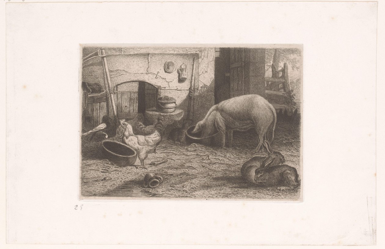 Schwein, Hühner und Kaninchen bei einem Schuppen von Auguste Numans (attributed to)
