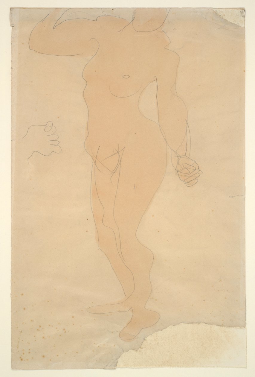 Stehender Akt (Kopf teilweise vom Papierrand abgeschnitten) von Auguste Rodin