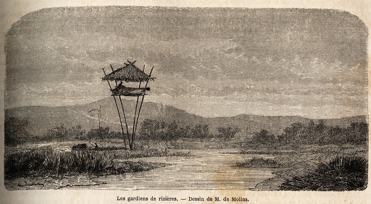Ein Reiswächter, nahe Batavia (heutiges Jakarta). Zeichnung von M. de Molins, zur Illustration seiner Reise nach Java von Auguste de Molins