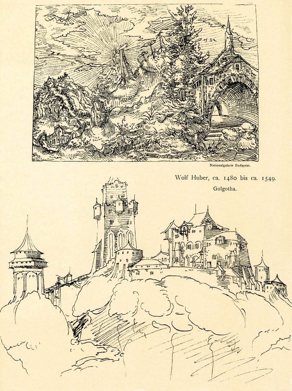 Naturstudie von Augustin Hirschvogel