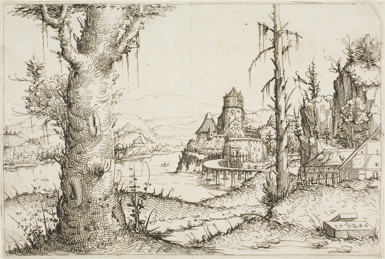 Flusslandschaft mit großem Baum im Vordergrund von Augustin Hirschvogel
