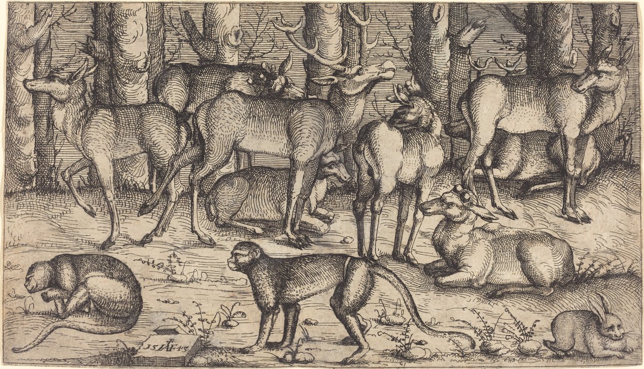 Hirsche im Wald, 1545 von Augustin Hirschvogel