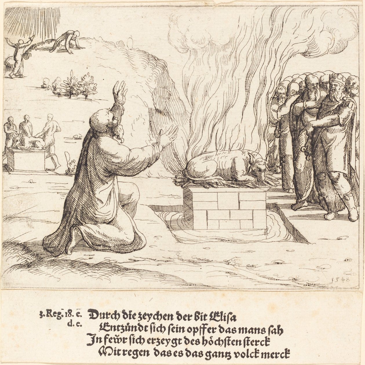 Die rivalisierenden Opfer von Elia und den Priestern des Baal von Augustin Hirschvogel