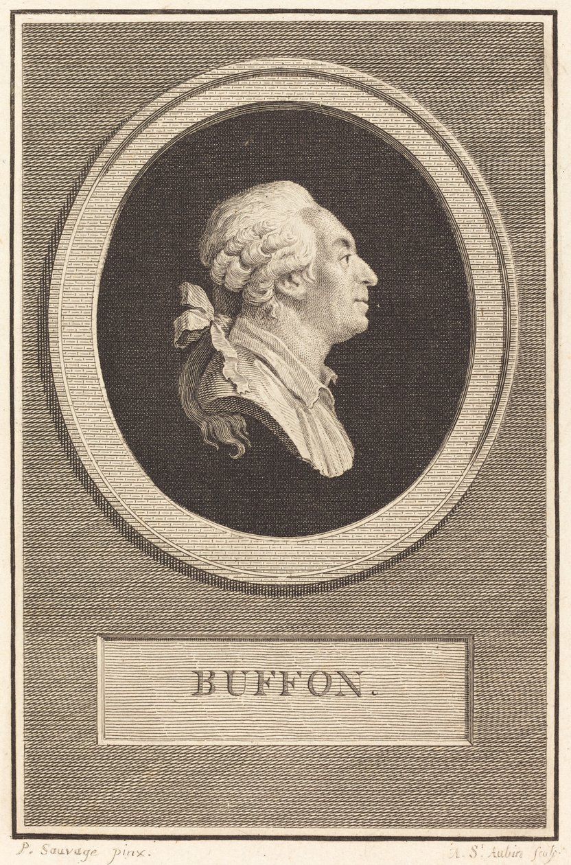 Buffon von Augustin de Saint Aubin after Piat Joseph Sauvage