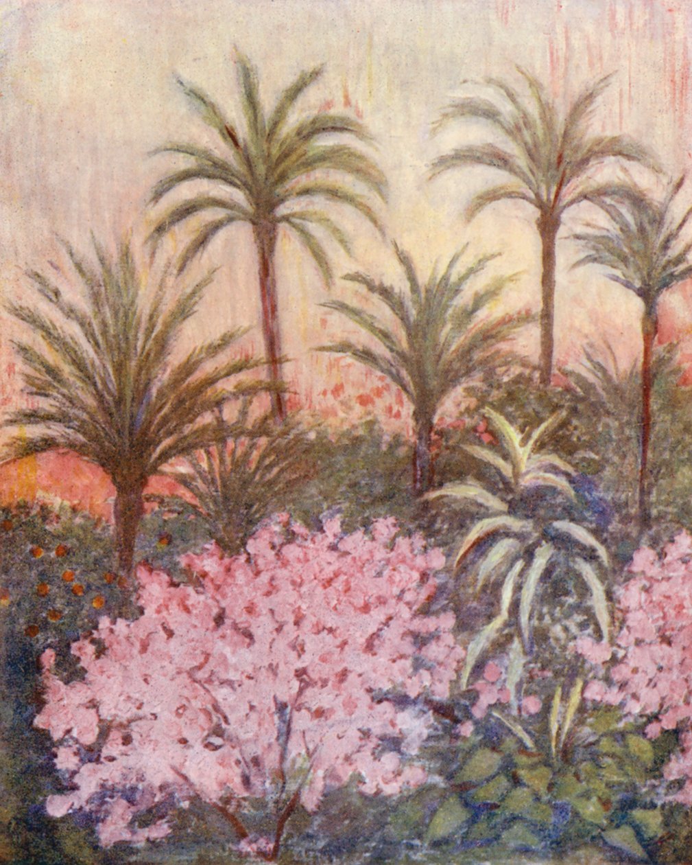 Ein Palmengarten in Murcia von Augustine Fitzgerald